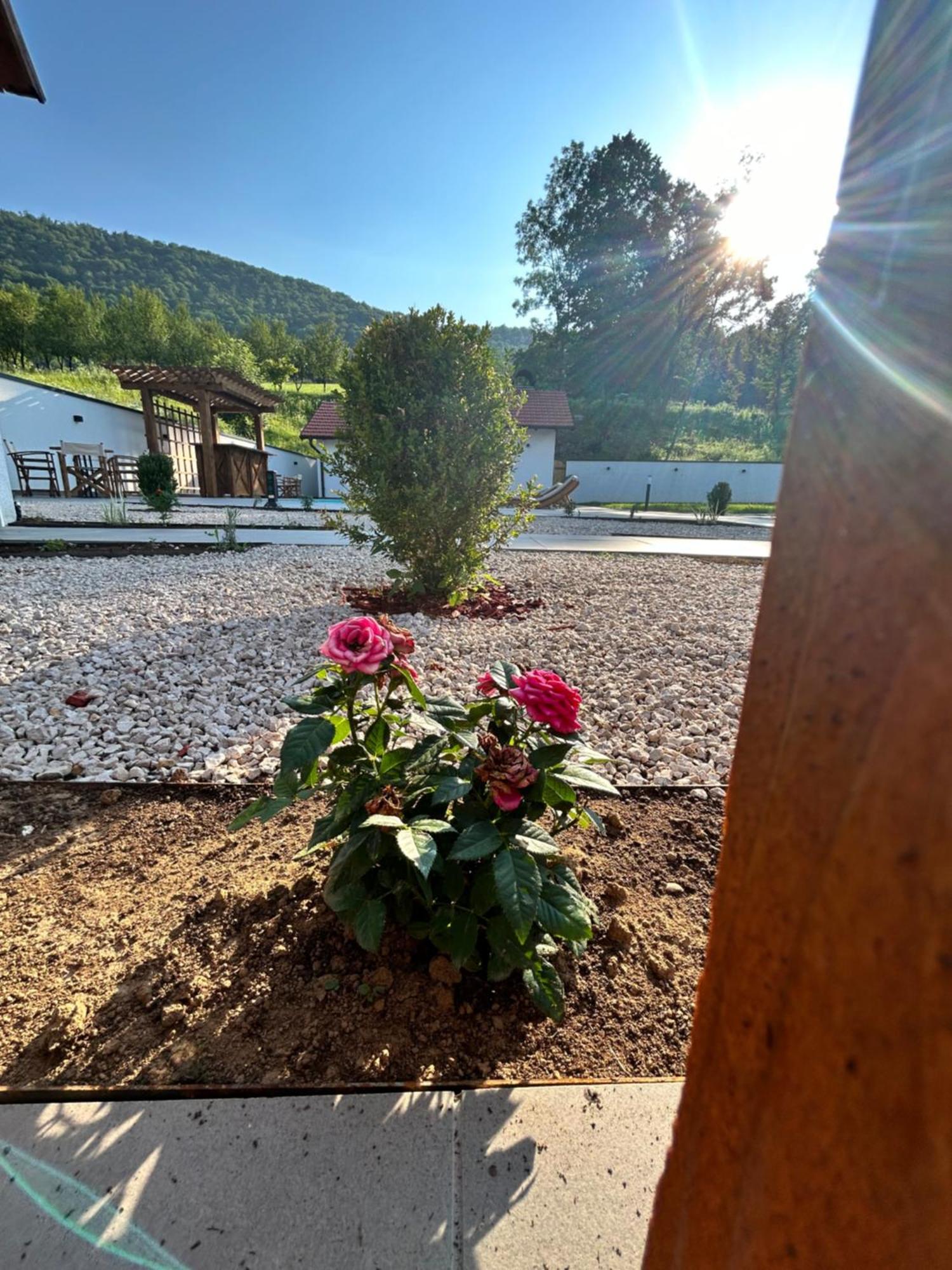 Romantic Lodge Μπάνια Λούκα Εξωτερικό φωτογραφία